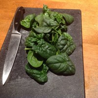 conshohocken-community-garden-spinich